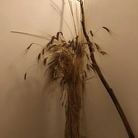 Verso Est Pensjonat
